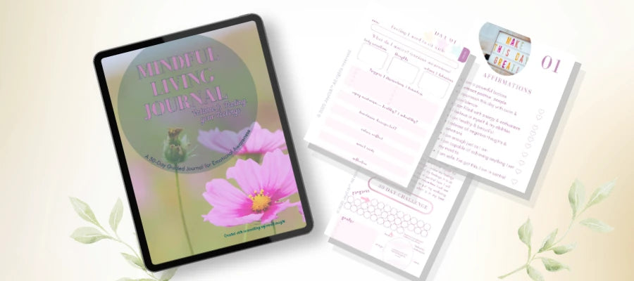 High-level overview of the Mindful Living Journal feelings framework without readable prompts